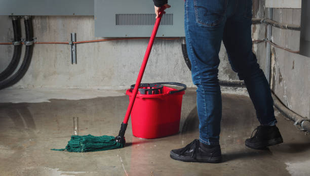 Best Sewage cleanup and water damage restoration  in Vero Beach South, FL