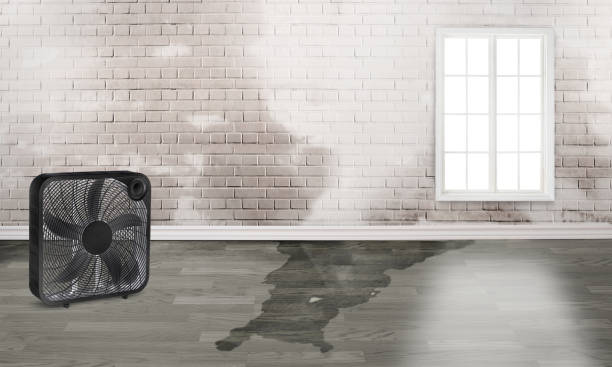 Best Water damage restoration near me  in Vero Beach South, FL