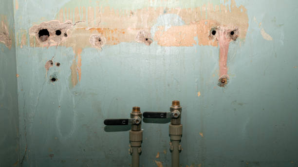 Vero Beach South, FL Water damage restoration Company