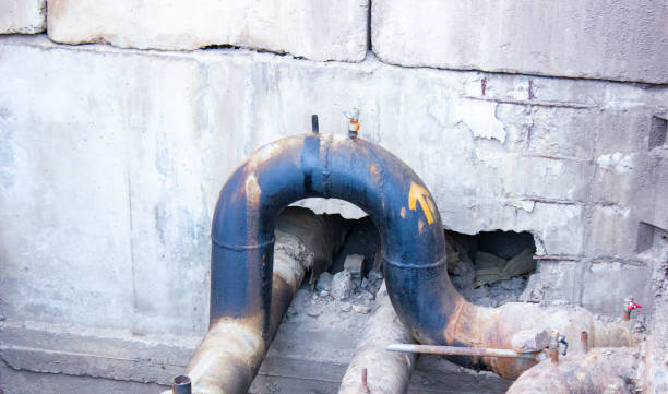 Best Professional water damage repair  in Vero Beach South, FL