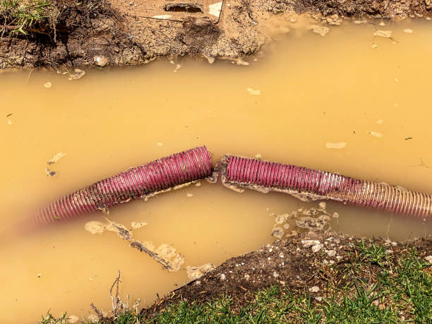 Best Flood restoration services  in Vero Beach South, FL