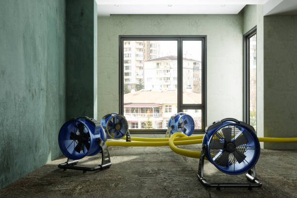 Best Water damage cleanup near me  in Vero Beach South, FL