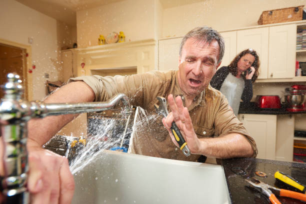 Best Mold removal after water damage  in Vero Beach South, FL